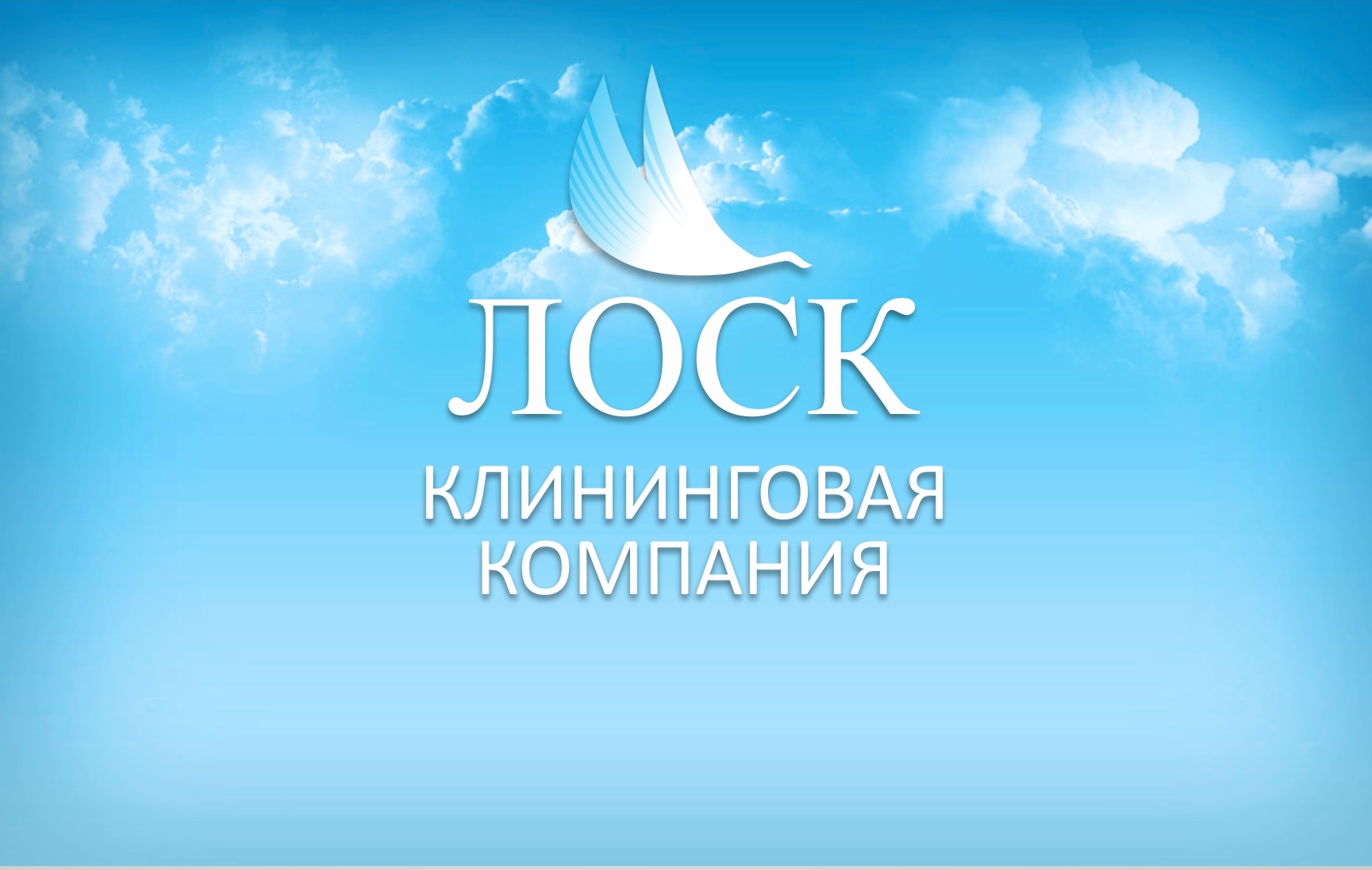 Клининговая компания "ЛОСК"